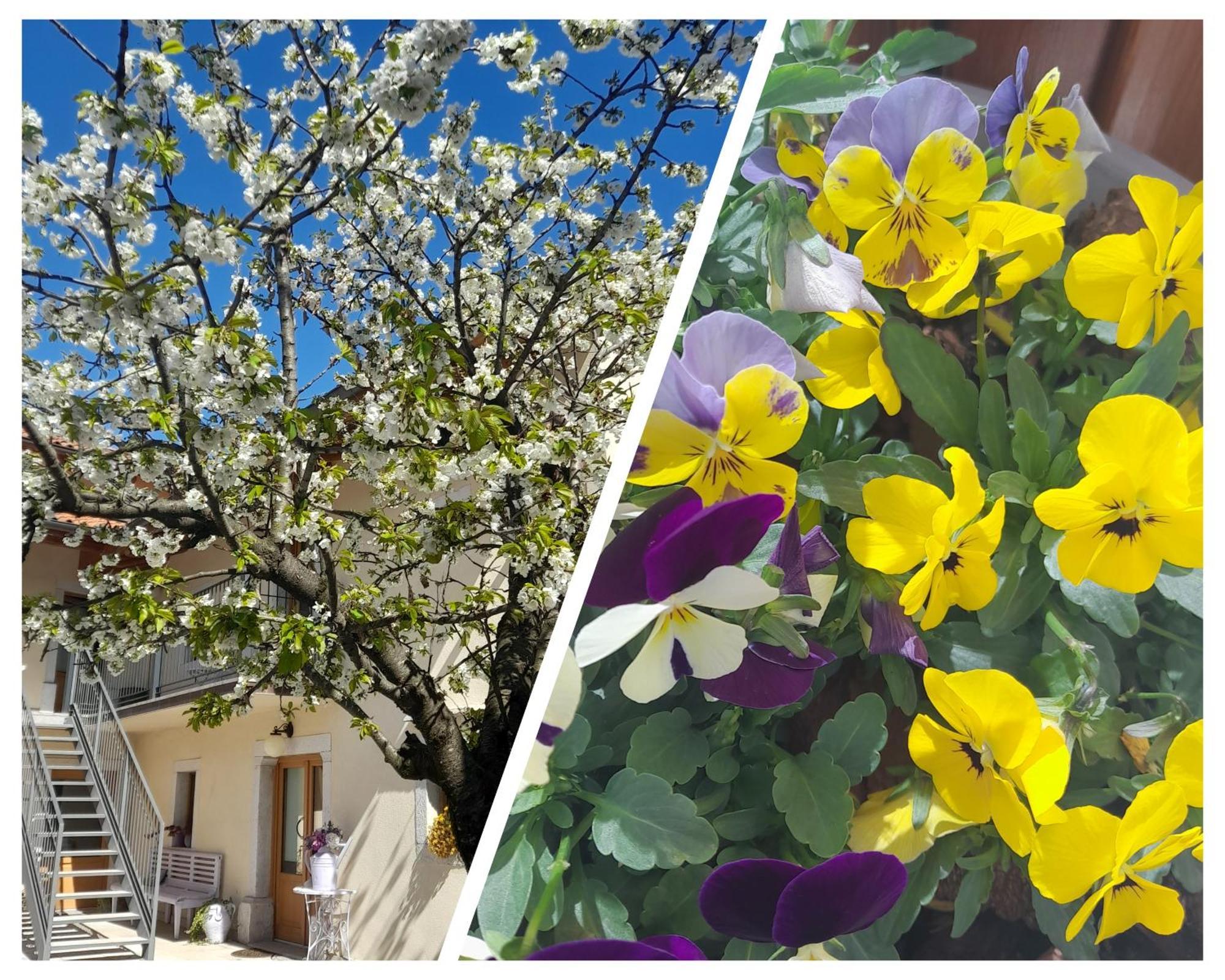 Borgo Grotta Gigante Bed & Breakfast Barbara المظهر الخارجي الصورة