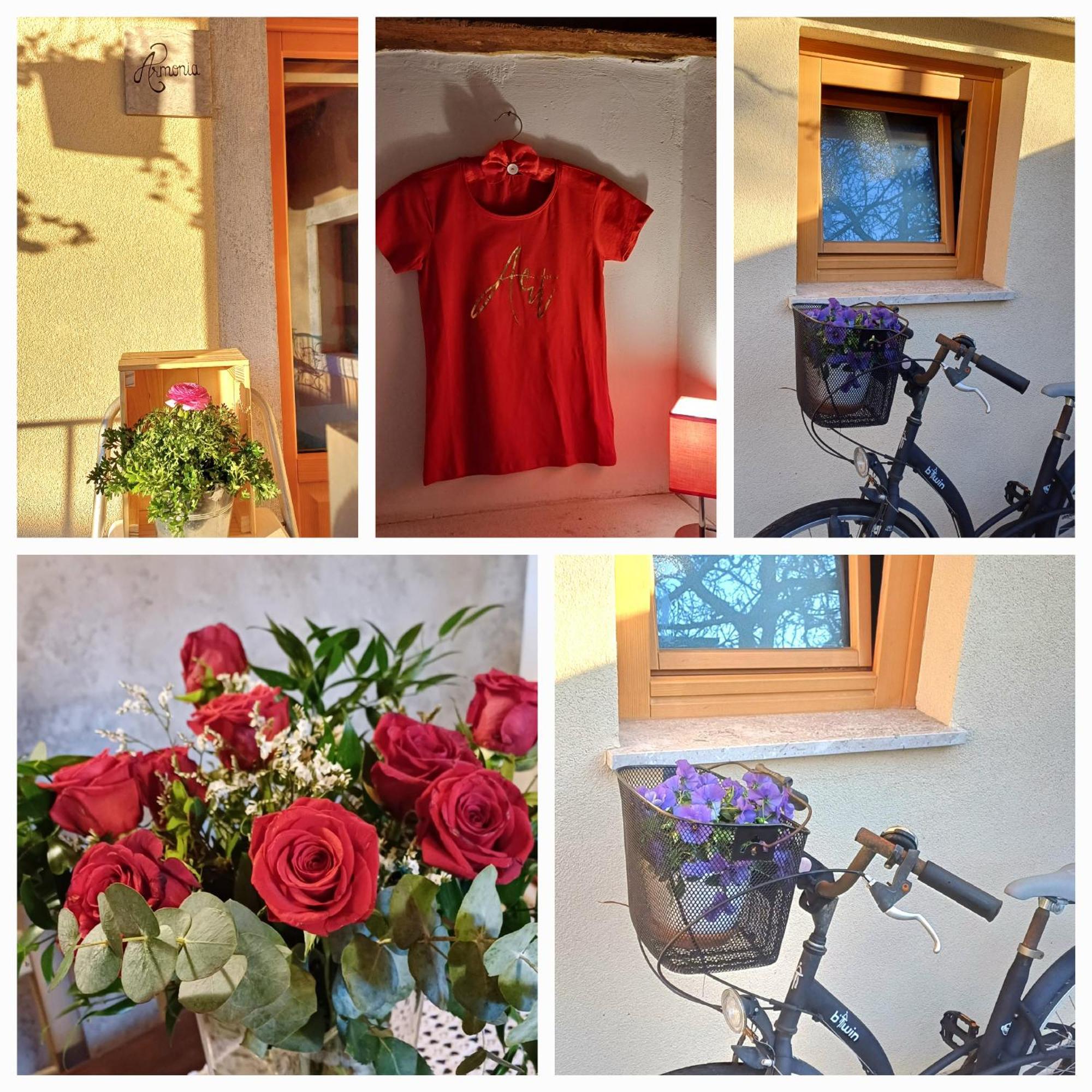 Borgo Grotta Gigante Bed & Breakfast Barbara المظهر الخارجي الصورة