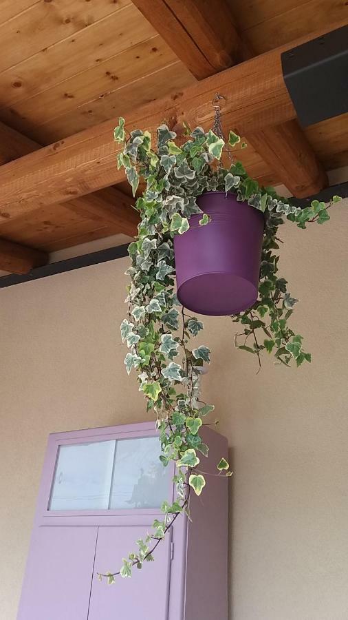 Borgo Grotta Gigante Bed & Breakfast Barbara المظهر الخارجي الصورة